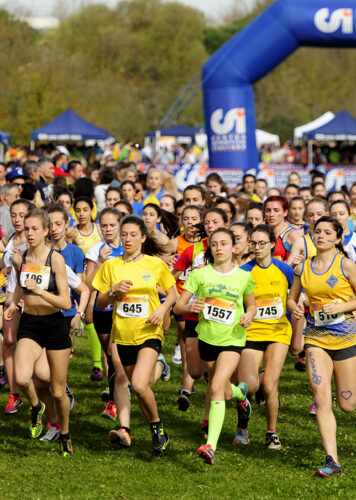 Sport dilettantistico: la Circolare n. 7/E/2026