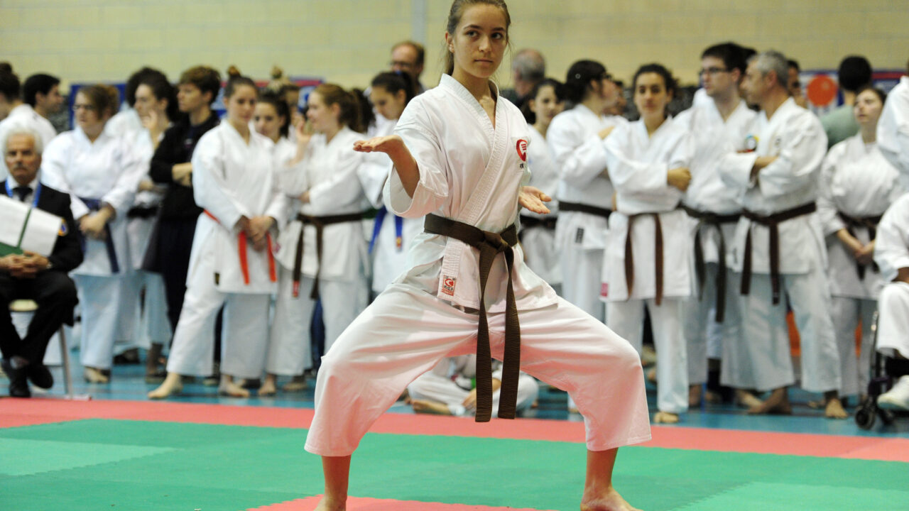Stage Regionale di Karate: preparazione gare ed esami
