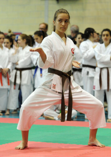 Stage Regionale di Karate: preparazione gare ed esami
